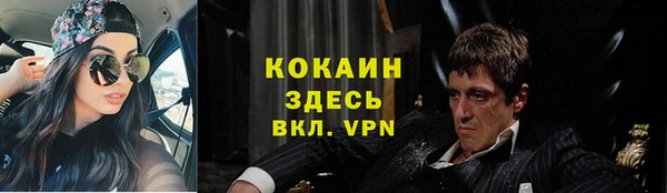 стаф Алексин