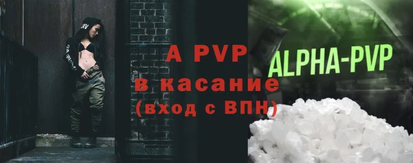 стаф Алексин