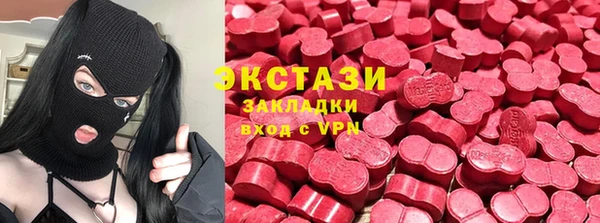 стаф Алексин