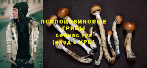амф Алзамай